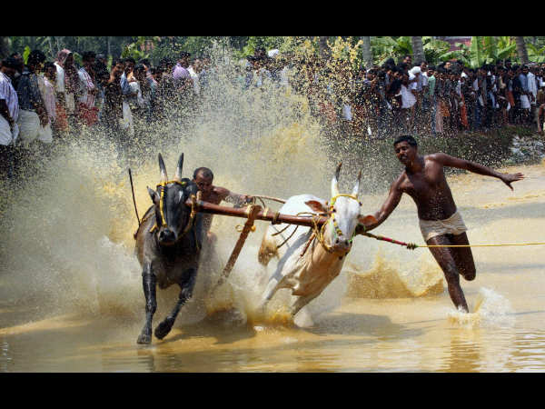 ಕೇರಳದಲ್ಲಿ ಓಟ