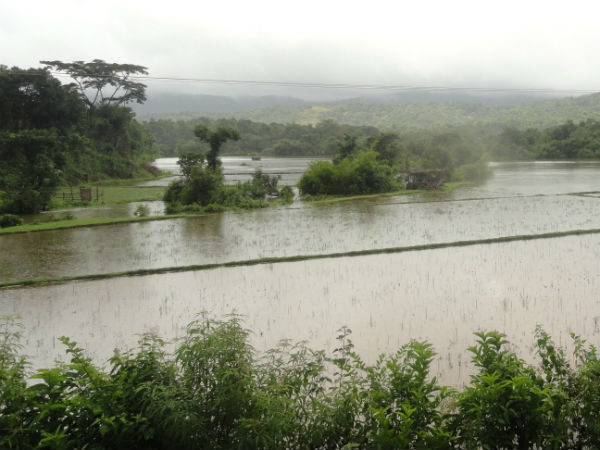 ಭಾರೀ ಮಳೆಯಿಂದ ಬಾರದ ಈರುಳ್ಳಿ