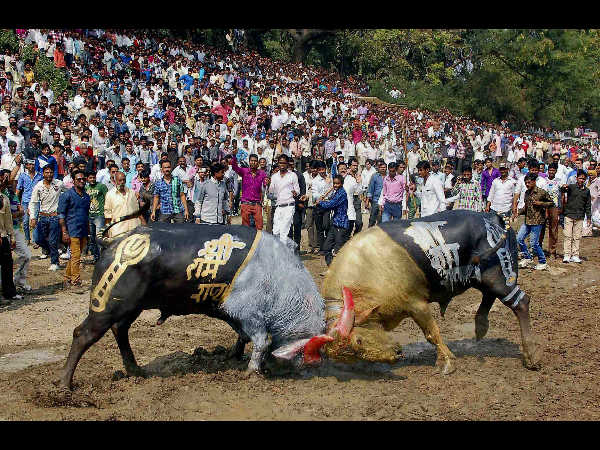 ಉಜ್ಜಯಿನಿಯಲ್ಲಿ