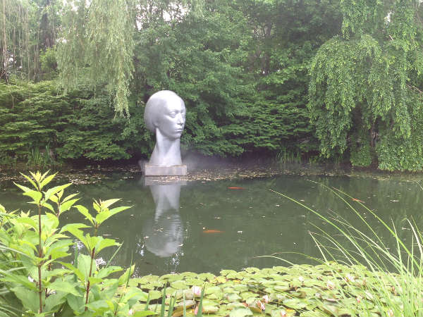 ಕಣ್ಣರಳಿಸುವ ಕಮಲದ ಕೊಳ