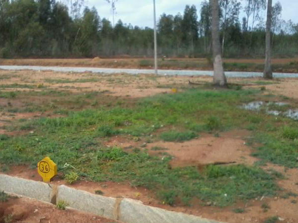 ನೆಲಮಂಗಲದಲ್ಲಿ ಸರ್ಕಾರಿ ಭೂಮಿ ಕಂಡವರ ಪಾಲು