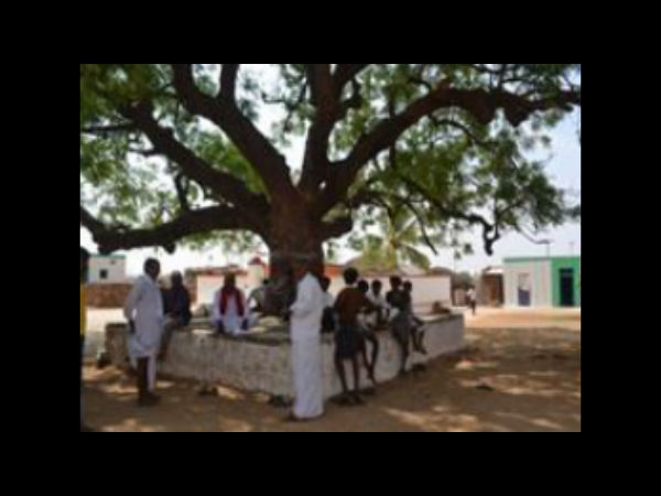 ಅಮೃತ್ ಮಹಲ್ ಕಾವಲುಗಳು