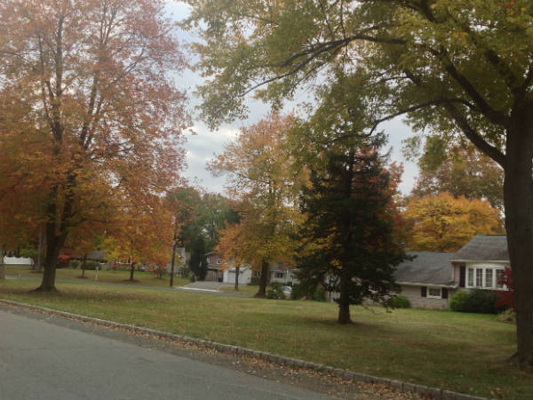 Natural October wonder ends in America