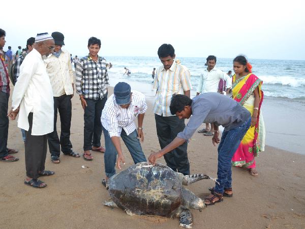 ಕರಾವಳಿ ತೀರದಲ್ಲಿ