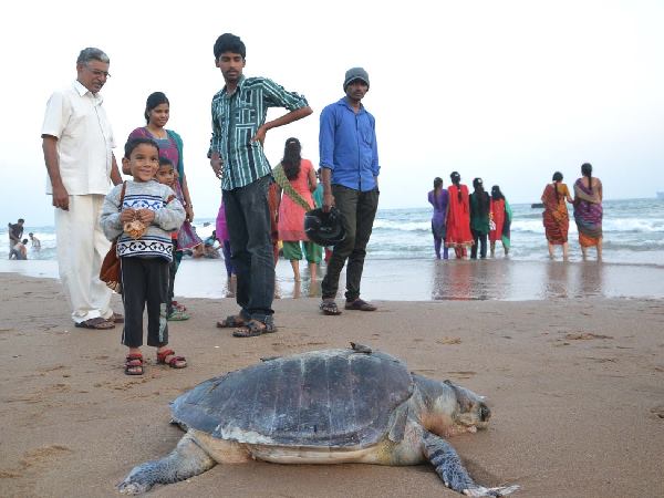 ಕರ್ನಾಟಕಕ್ಕೆ ಭೀತಿ