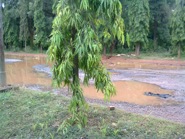 ರಾಜ್ಯ ಹೆದ್ದಾರಿಗಳ ಪಟ್ಟಿ - 3 ರಾಜ್ಯ ಹೆದ್ದಾರಿಗಳ ಪಟ್ಟಿ - 3