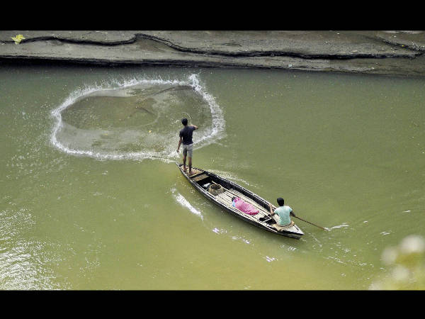 ಅಗರ್ತಲದಲ್ಲಿ ಮೀನಿಗಾಗಿ ಹುಡುಕಾಟ