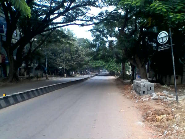ಗಿಡನೆಡುವ ಯೋಜನೆ ಮರೆತ ಬಿಬಿಎಂಪಿ