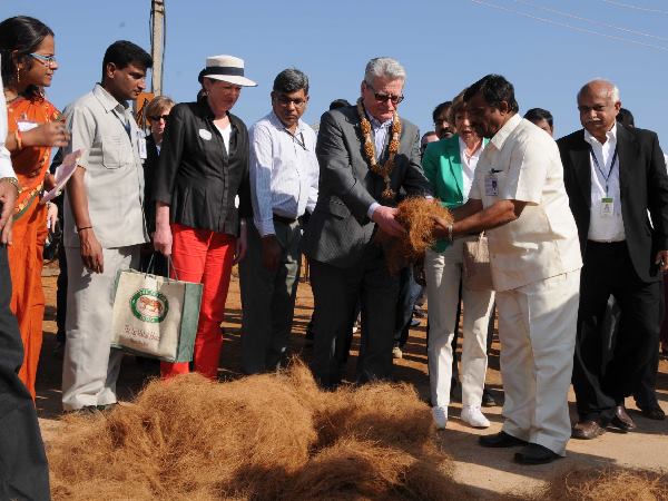 ತೆಂಗಿನ ಕಾಯಿ ಸುಲಿದಿದ್ದಕ್ಕೆ ಅಚ್ಚರಿ