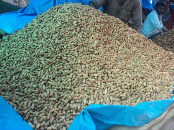 ಬೆಂಬಲ ಬೆಲೆಯಲ್ಲಿ ಕಡಲೆ ಖರೀದಿಸಿ