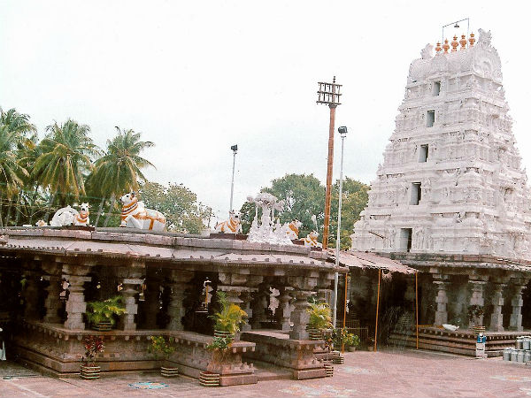 Shivaratri : Mallikarjuna temple in Srisailam Shivaratri : Mallikarjuna temple in Srisailam