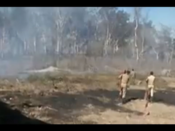 ದಟ್ಟ ಕಾನನಕ್ಕೆ ಬೆಂಕಿ ಇಟ್ಟವರು ಯಾರು? 