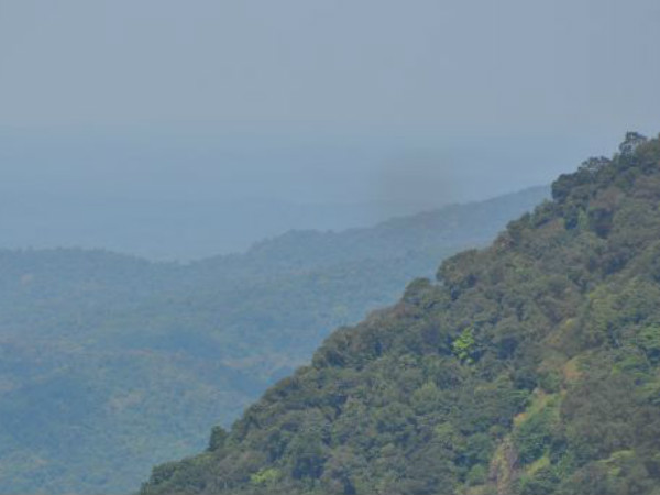 ಕಸ್ತೂರಿ ರಂಗನ್ ವರದಿಗೆ ಅಸ್ತು