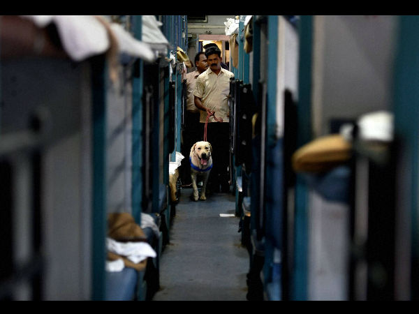 ಟಿಸಿಎಸ್ ಕಂಪನಿ ಇತ್ತೀಚೆಗೆ ಸೇರಿದ್ದು