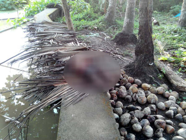 ಹಾಸನ ಮೂಲದವರು