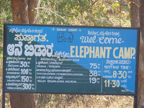 ಪುಂಡಾನೆಗಳಿಗೆ ಸಕ್ರೆಬೈಲಿನಲ್ಲಿ ಪಾಠ