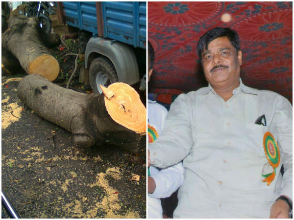 more-than-2500-trees-to-be-cut-for-widening-nh-212-kerala-to-kollegal more-than-2500-trees-to-be-cut-for-widening-nh-212-kerala-to-kollegal