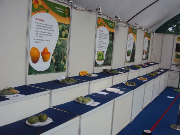  ವಿವಿಧ ತಳಿಗಳು: