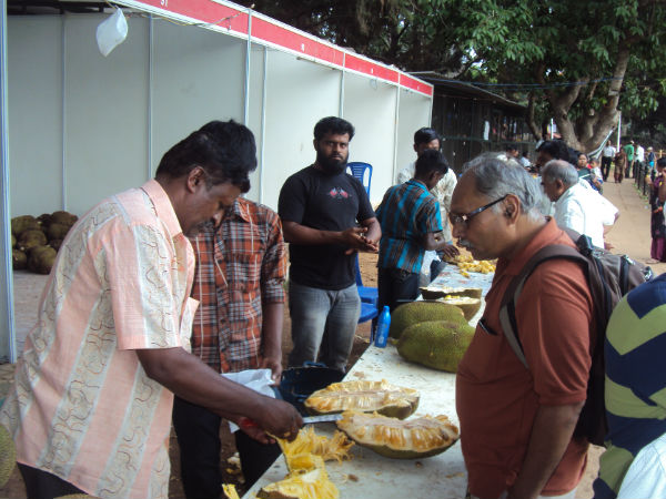  90 ಸುಸಜ್ಜಿತ ಮಾರಾಟ ಮಳಿಗೆಗಳು