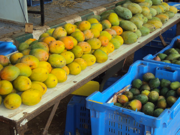 ವೀಕೆಂಡ್‌ ಫುಲ್‌ ಬ್ಯುಸಿ: