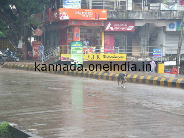 ಬುಧವಾರ ದಿನಪೂರ್ತಿ ಸುರಿದ ಮಳೆ