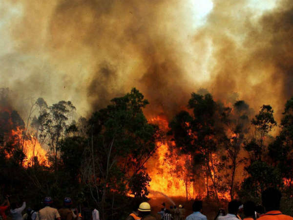 ಮಂಗಳವಾರ, ಜೂ. 17 : ಅರಣ್ಯನಾಶ ವಿರೋಧಿ ದಿನ