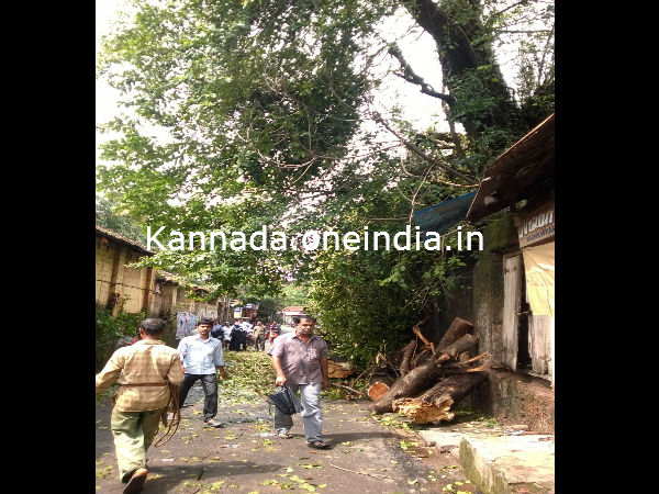ಮಂಗಳೂರಿನಲ್ಲಿ ಎಷ್ಟು ಮಳೆ?