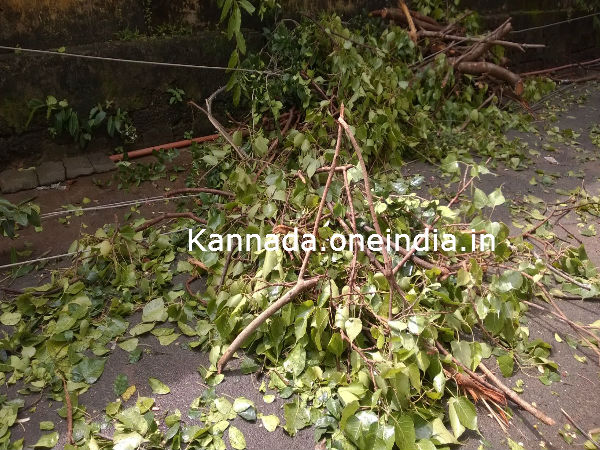  ಕರಾವಳಿಯಲ್ಲಿ ಭಾರಿ ಗಾಳಿ ಮಳೆ 