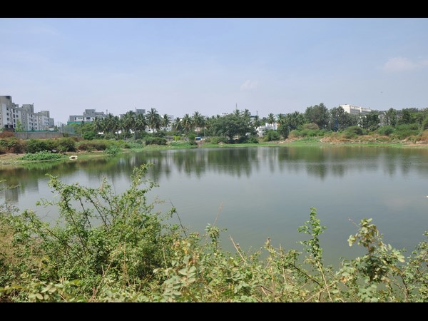 ಉತ್ತಮ ಮಳೆ ಬಂದರೆ ಕೆರೆ ತುಂಬಿ ತುಳುಕಲಿದೆ 