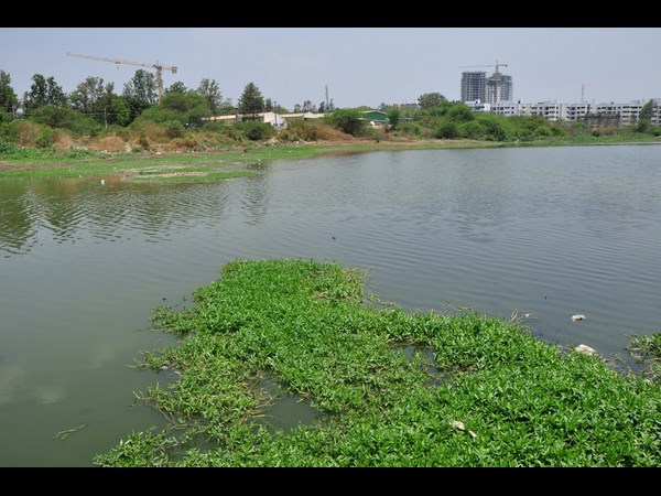 ಕೆರೆಯಲ್ಲಿ ಕೃತಕ ದ್ವೀಪ ನಿರ್ಮಾಣ ಮಾಡಲಾಗುತ್ತದೆ