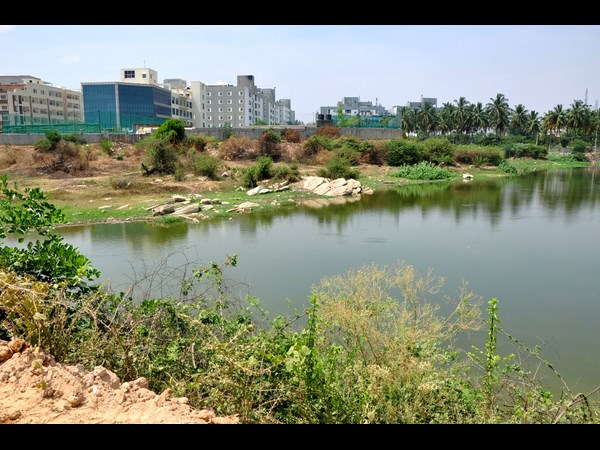 ಕೆರೆ ಒತ್ತುವರಿ ತೆರವುಗೊಳಿಸುವ ಕಾರ್ಯ