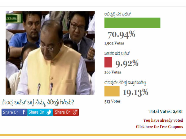 ಅಭಿವೃದ್ಧಿ ಪರ ಬಜೆಟ್‌:
