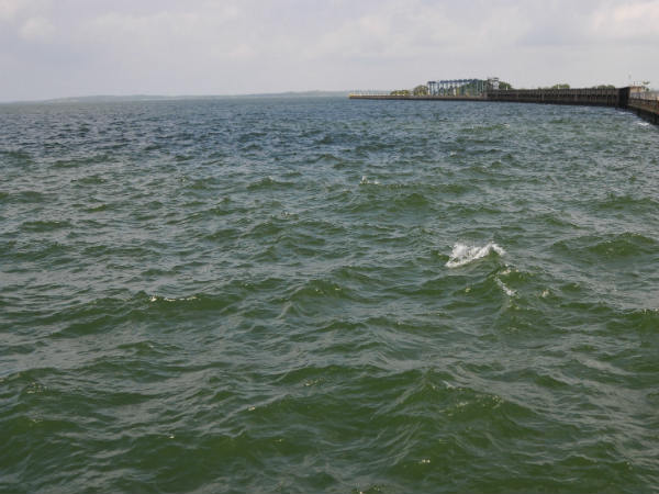 ನೀರು ನಿರ್ವಹಣೆಯ ಉತ್ತಮ ವಿಧಾನ