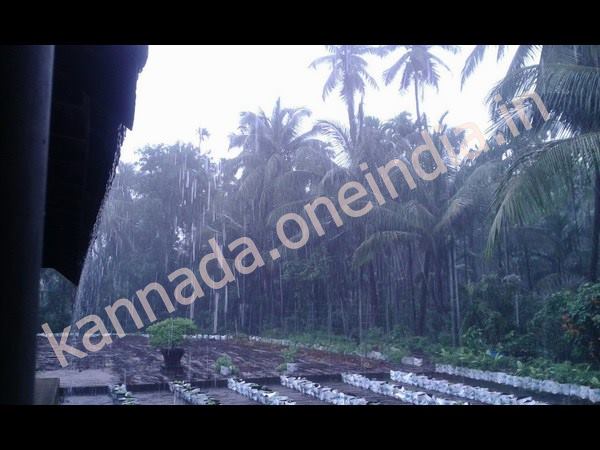 ಕರಾವಳಿಯಲ್ಲಿ ಉತ್ತಮ ಮಳೆ