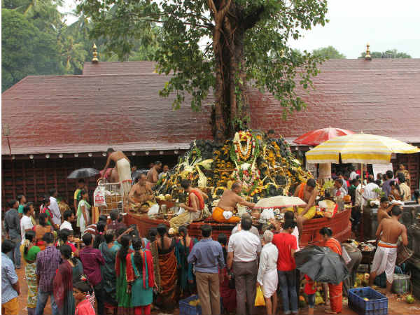 ಶುಕ್ರವಾರ ನಾಗರ ಪಂಚಮಿ ಆಚರಣೆ