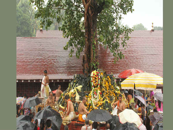 ಮಂಜೇಶ್ವರಕ್ಕೆ ಹರಿದು ಬಂದ ಭಕ್ತಸಾಗರ
