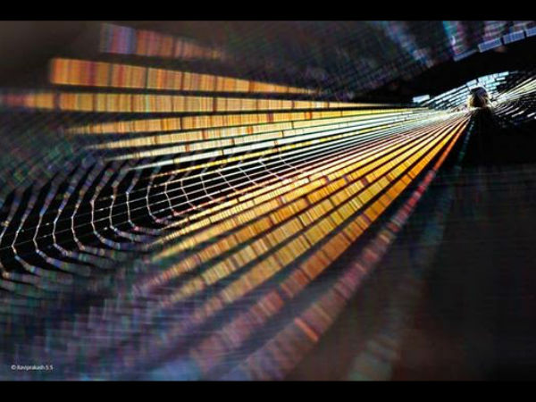 ಮಲೆನಾಡಿನ ಪ್ರತಿಭೆ ರವಿಪ್ರಕಾಶ್ ಮಲೆನಾಡಿನ ಪ್ರತಿಭೆ ರವಿಪ್ರಕಾಶ್