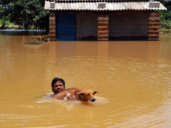 ಭುವನೇಶ್ವರನಗರದಲ್ಲಿ ಕಂಡುಬಂದ ಚಿತ್ರ