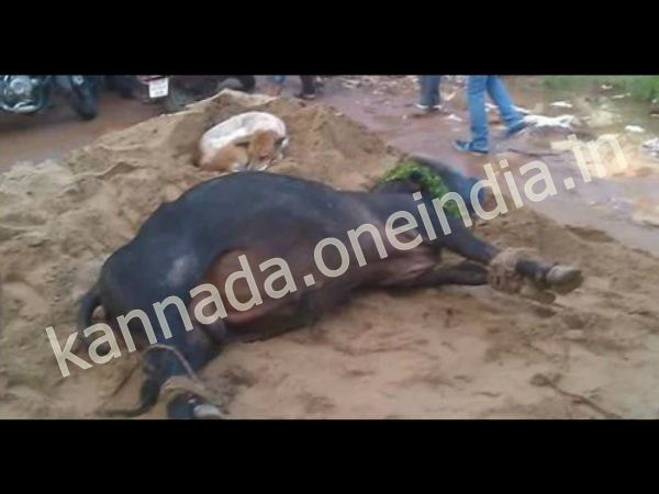 ಹತ್ತು ವರ್ಷಗಳ ಸ್ನೇಹ