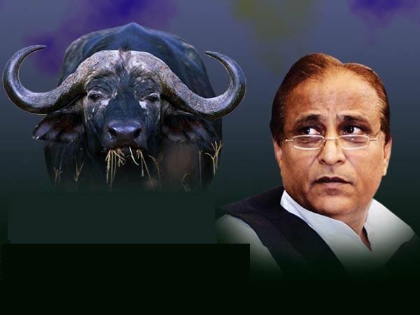 ಮುಸ್ಲಿಮರು ಪಾಕಿಸ್ತಾನದಲ್ಲಿ ನೆಲೆಸುವುದು ಹೇಗೆ?