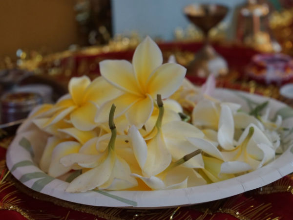 ಗಣೇಶನಿಗೆ ಕಣಗಲೆ ಹೂವಿನ ಅರ್ಪಣೆ