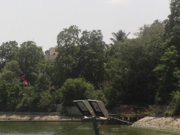 ಬಾನಾಡಿ ಬಾ ಮರಳಿ ಗೂಡಿಗೆ