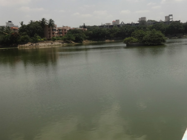 ನೇಪಾಳದಿಂದ ಹೊಸ ಪಕ್ಷಿಗಳು