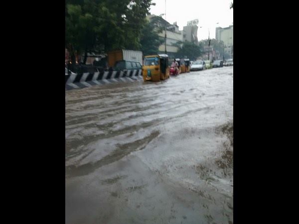 66 ಮರಗಳು ಧರೆಗೆ