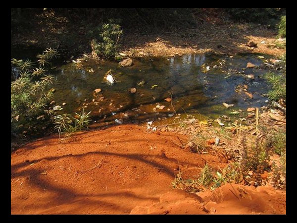ಮಾಲಿನ್ಯ ತಡೆವರು ಯಾರು?