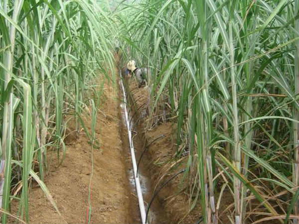 ಬೇರೆ ರಾಜ್ಯಗಳಿಗೆ ಮಾದರಿ ಬೇರೆ ರಾಜ್ಯಗಳಿಗೆ ಮಾದರಿ