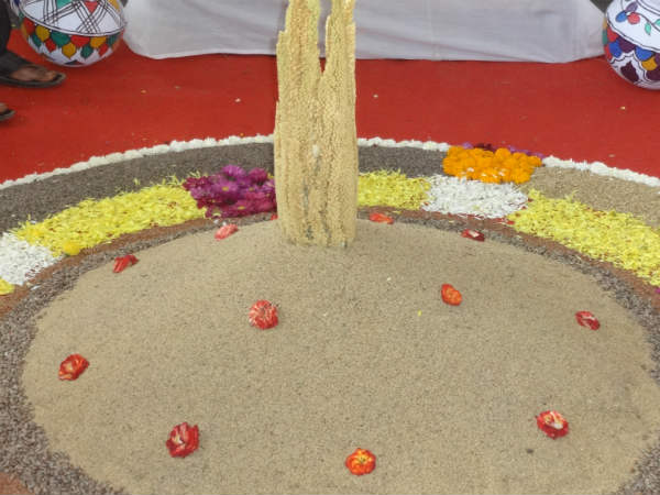 ಧಾನ್ಯಗಳ ರಂಗು