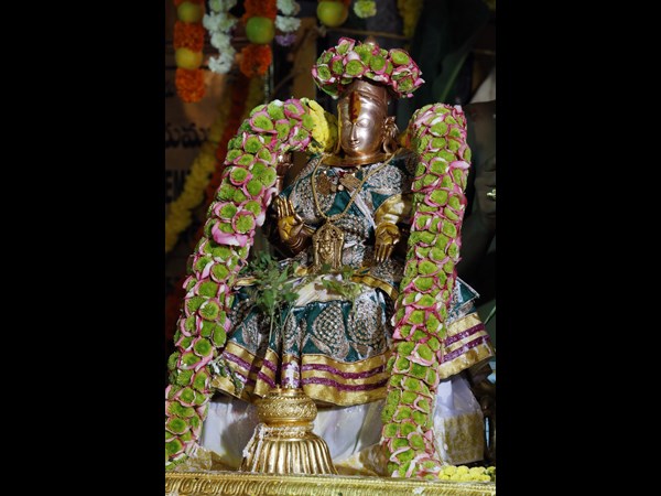 ವಿವಿಧ ವಾಹನಗಳ ಮೆರವಣಿಗೆ