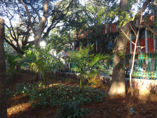 ಪಾಳು ಜಾಗವೀಗ ಸುಂದರ ಉದ್ಯಾನ