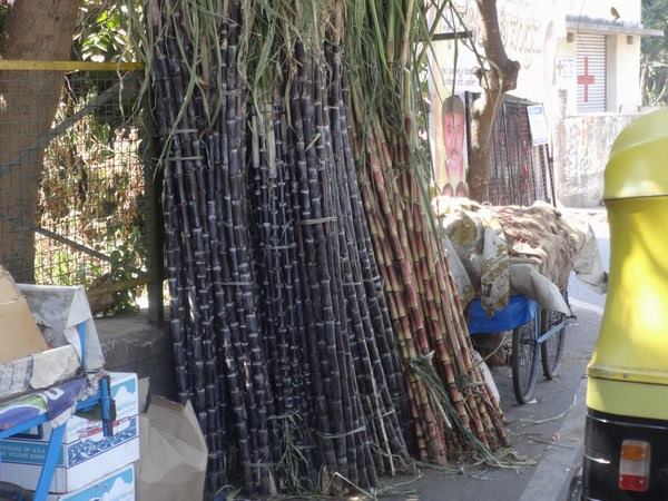 ಕಬ್ಬಿನ ಬೆಲೆ ಎಷ್ಟಿದೆ?